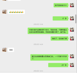 互联网项目GEO实战案例